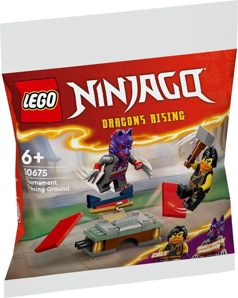 LEGO Ninjago Tournament Training Ground Polybag Set 30675 Brick Bin