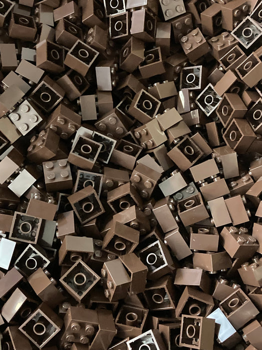 100 x Dark Brown LEGO® 2x2 Bricks
