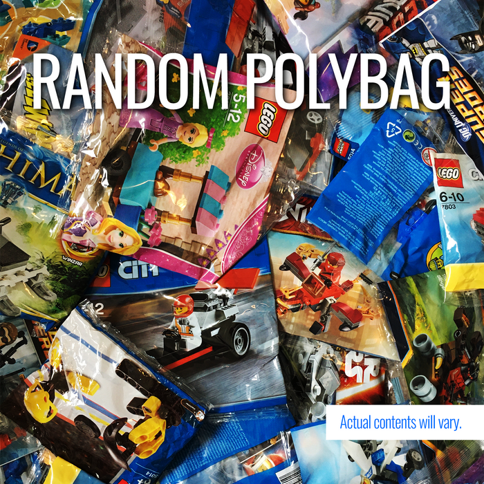 Random LEGO® Polybag